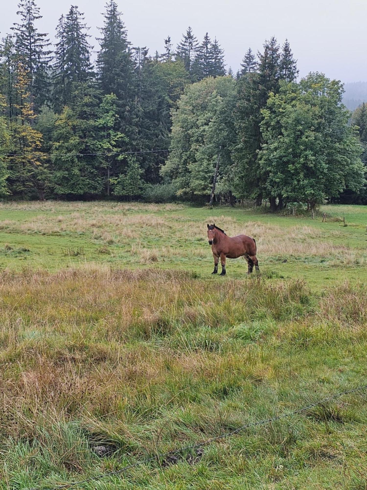 Willa Osmelakowa Dolina Spalona Zewnętrze zdjęcie